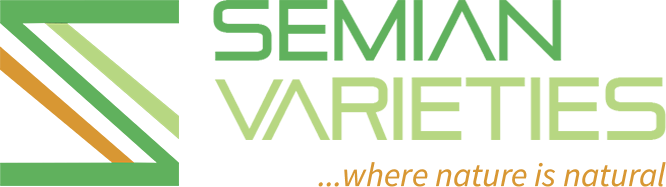 Semian Logo